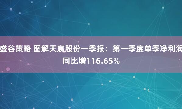 盛谷策略 图解天宸股份一季报：第一季度单季净利润同比增116.65%