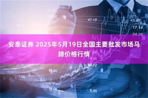 安泰证券 2025年5月19日全国主要批发市场马蹄价格行情