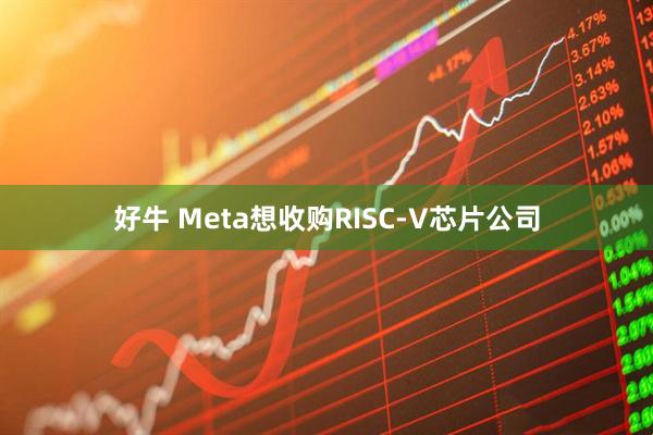 好牛 Meta想收购RISC-V芯片公司