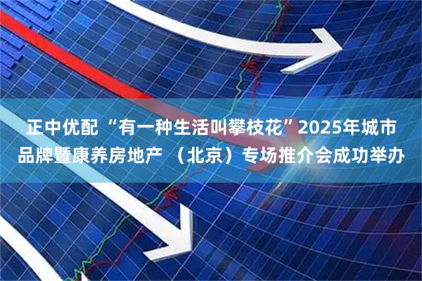 正中优配 “有一种生活叫攀枝花”2025年城市品牌暨康养房地产 （北京）专场推介会成功举办