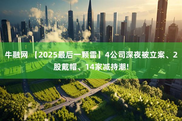 牛融网 【2025最后一颗雷】4公司深夜被立案、2股戴帽、14家减持潮!