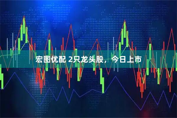 宏图优配 2只龙头股，今日上市